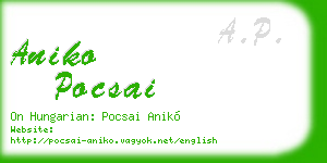 aniko pocsai business card